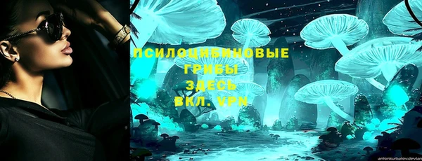 спиды Арсеньев